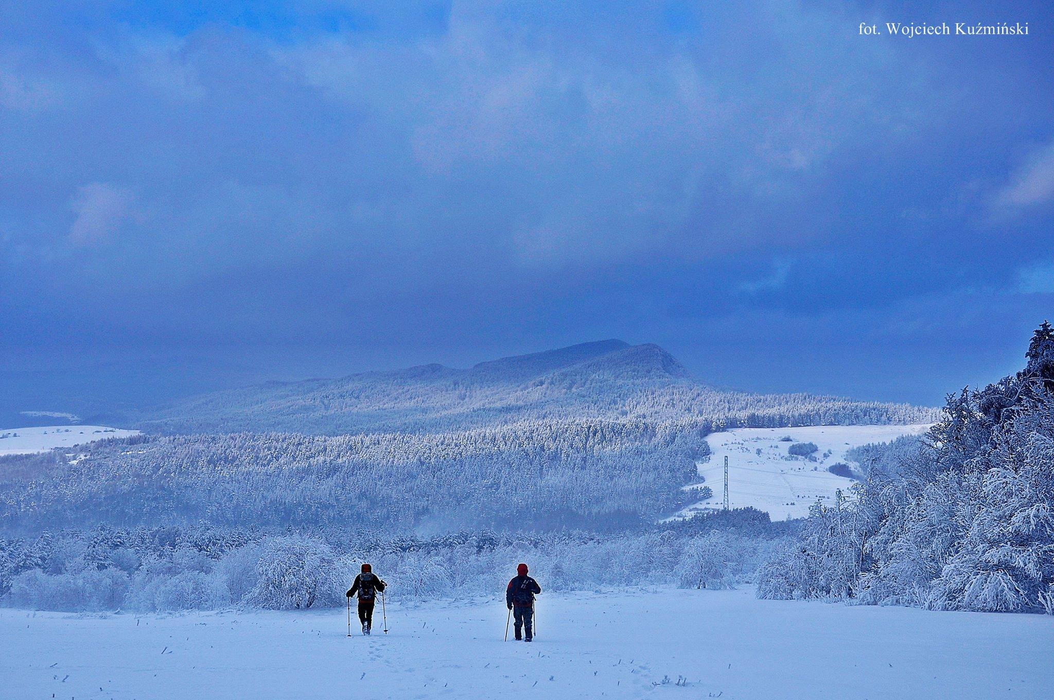 "Lodowyna" -  Łemkowyna Winter Trail 2019 - Zdjęcie główne