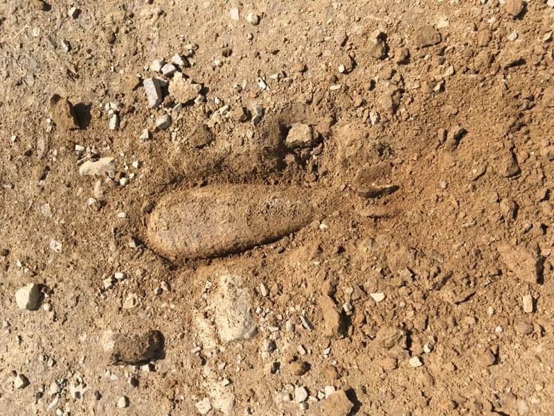 Turysta znalazł niewybuch na Tarnicy - szlaki są zamknięte! - Zdjęcie główne