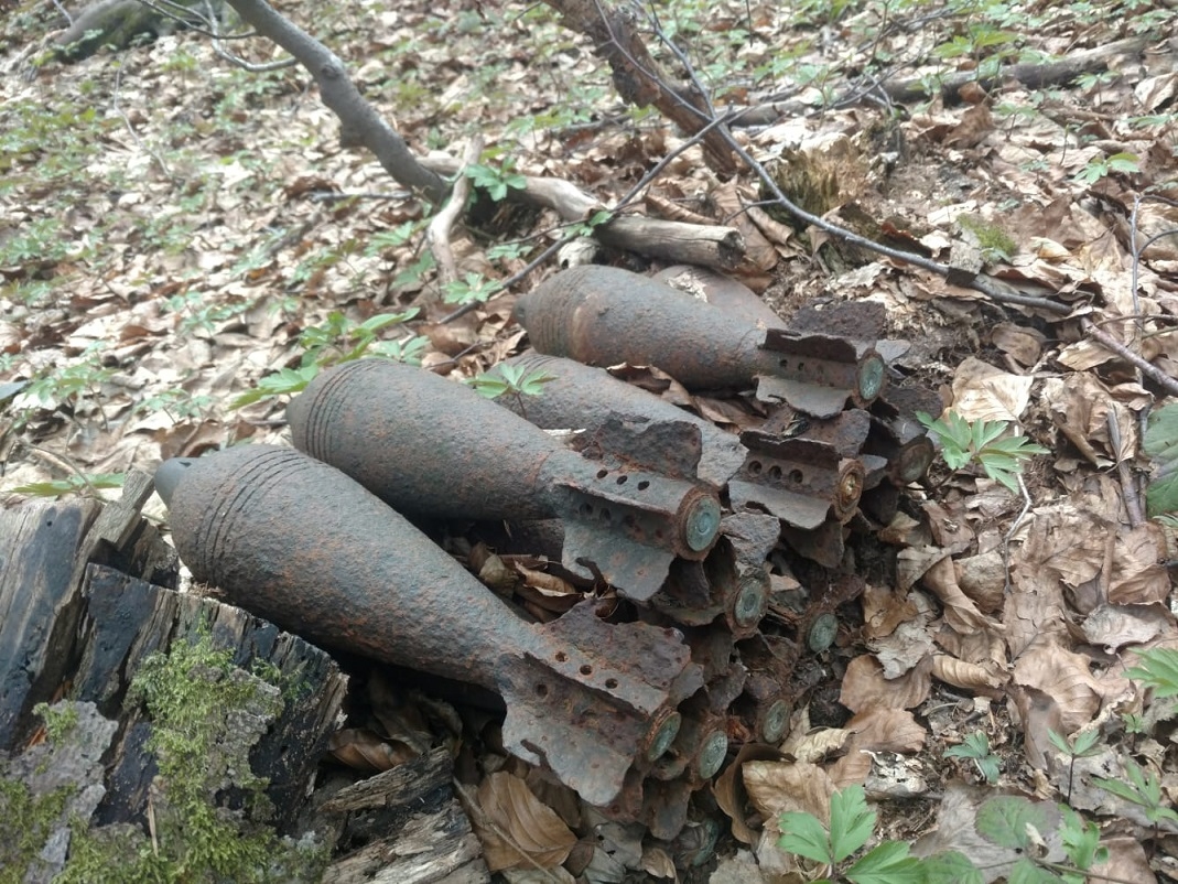 BIESZCZADY: Znaleziono 50 granatów moździerzowych oraz amunicję strzelecką [FOTO] - Zdjęcie główne