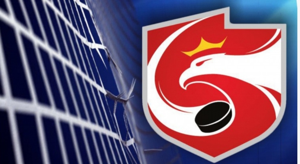 Sanockie "Niedźwiadki" potęgą w rozgrywkach młodzieżowych - Zdjęcie główne