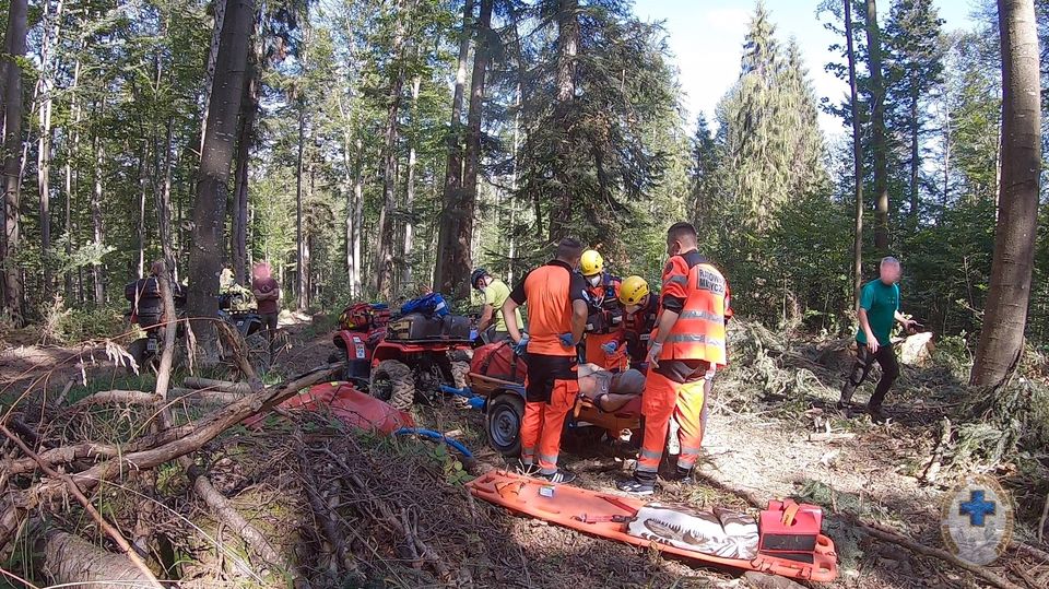 Bieszczady: Gałąź spadła na głowę drwala [FOTO] - Zdjęcie główne