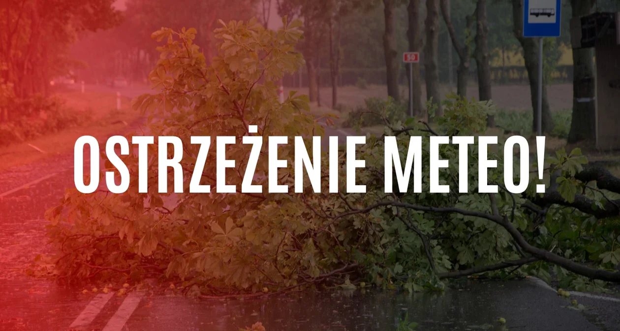 Pogoda Sanok. Porywy wiatru nawet do do 110 km/h w powiecie sanockim. IMGW wydało ostrzeżenie 2. stopnia - Zdjęcie główne