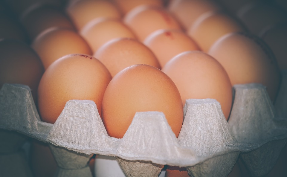 UWAGA: Salmonella na jajkach - GIS wydało ostrzeżenie! - Zdjęcie główne