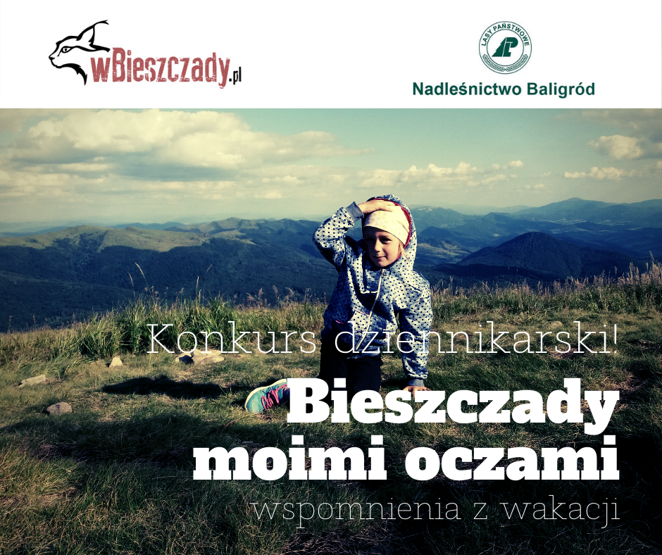 Bieszczady moimi oczami - wspomnienia z wakacji 2020. Konkurs dziennikarski! - Zdjęcie główne