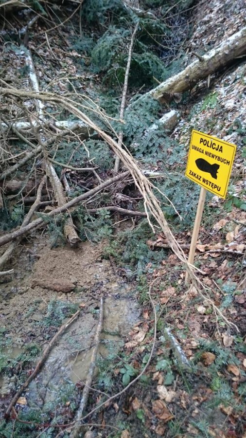 Pocisk moździerzowy z czasów II wojny światowej znaleziony w lesie - Zdjęcie główne