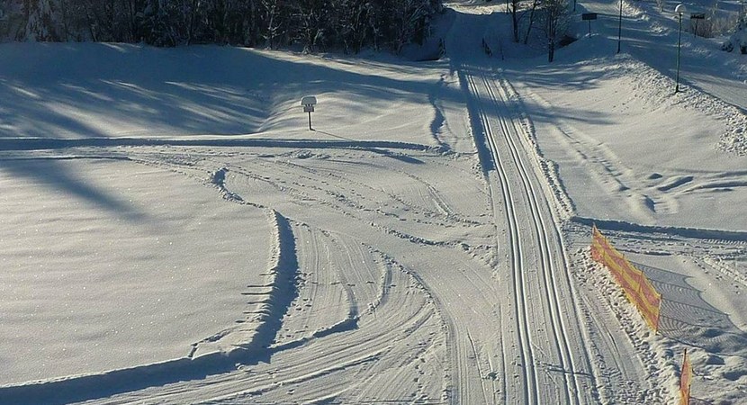 MUCZNE: Leśne trasy narciarskie z certyfikatem FIS  - Zdjęcie główne