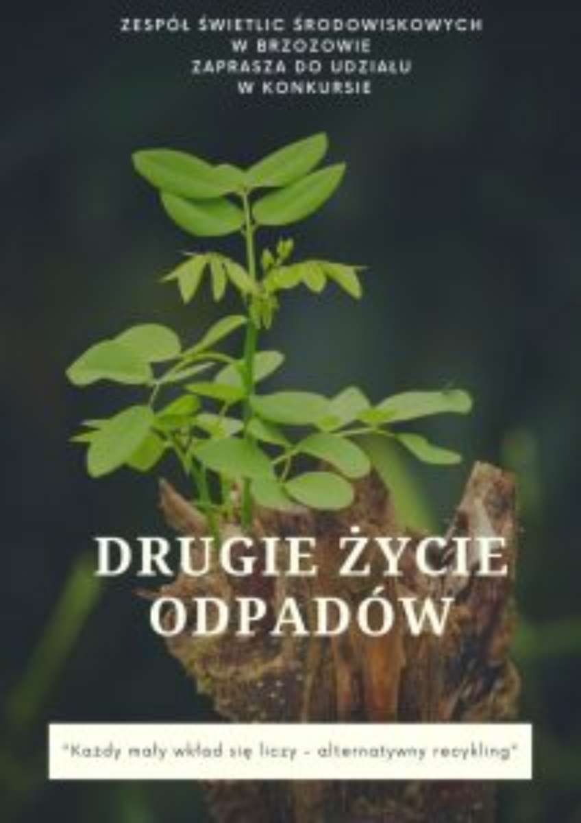 BRZOZÓW. Konkurs „Drugie życie odpadów” - Zdjęcie główne