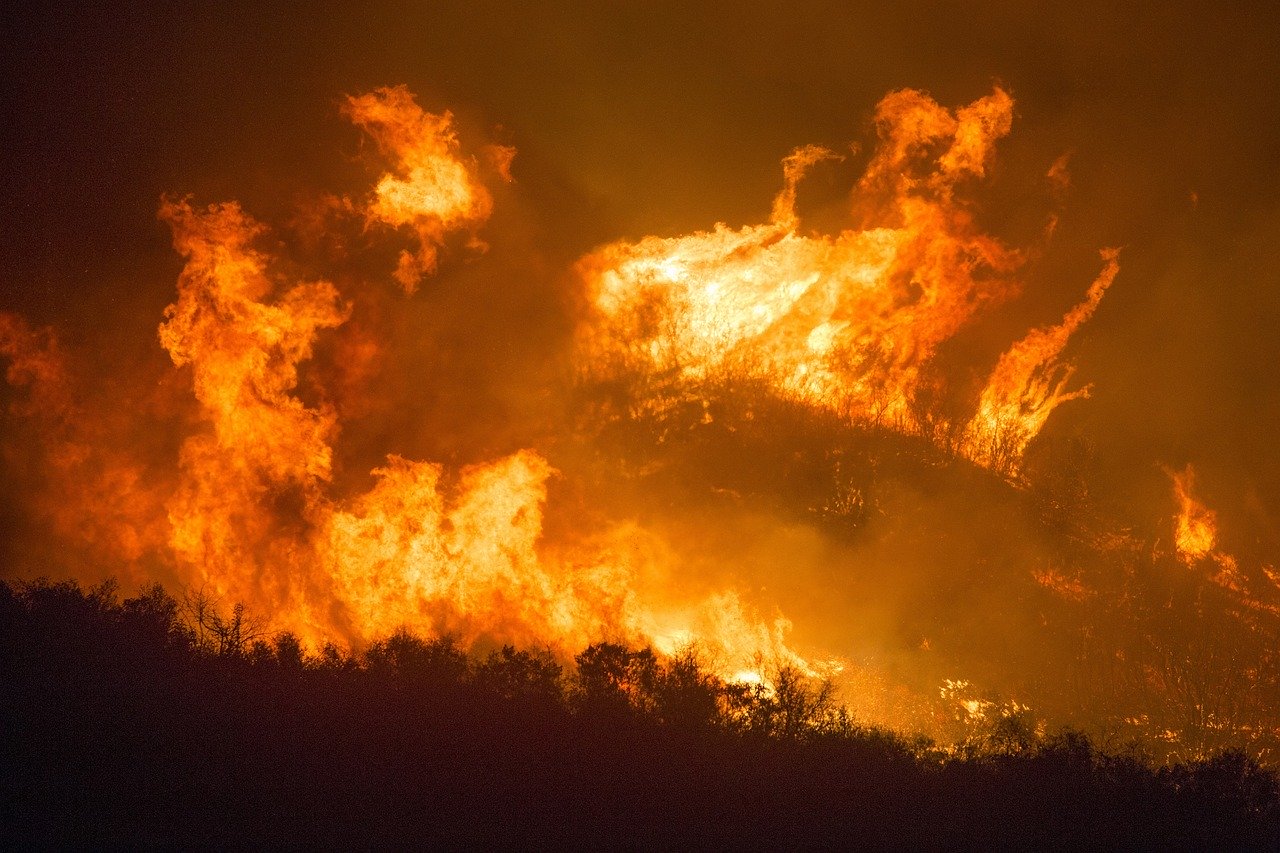 Gigantyczny pożar w Zagórzu - Zdjęcie główne