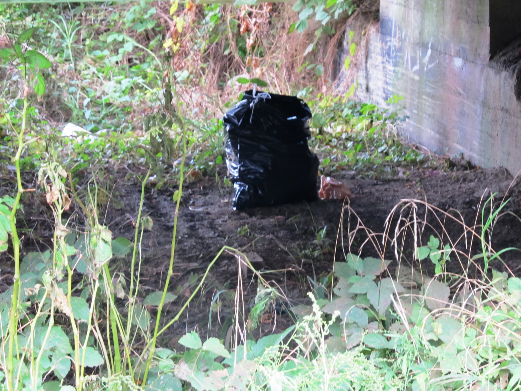 Na oczach Straży Rybackiej podrzucił worek ze śmieciami pod most na Białej Górze w Sanoku - Zdjęcie główne