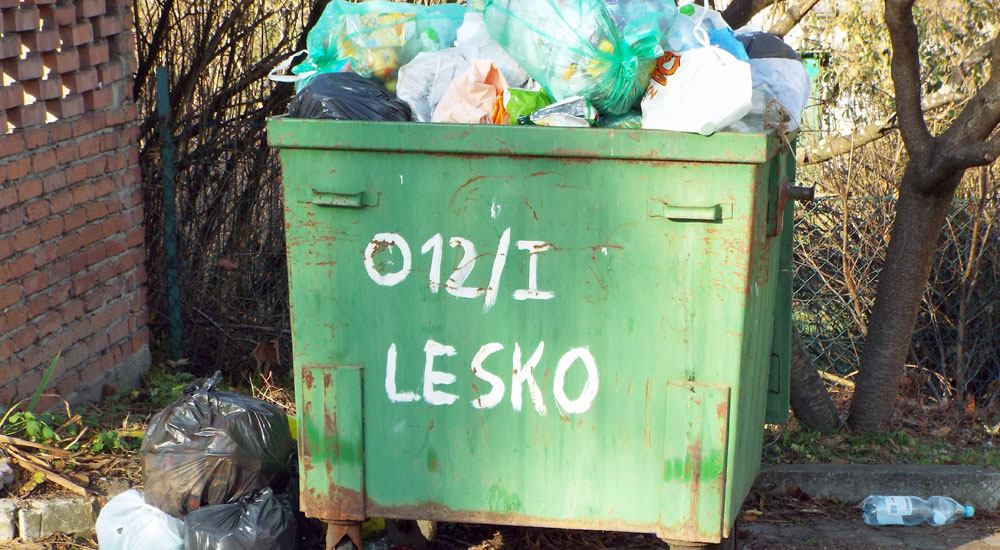 Karygodne lenistwo - Zdjęcie główne