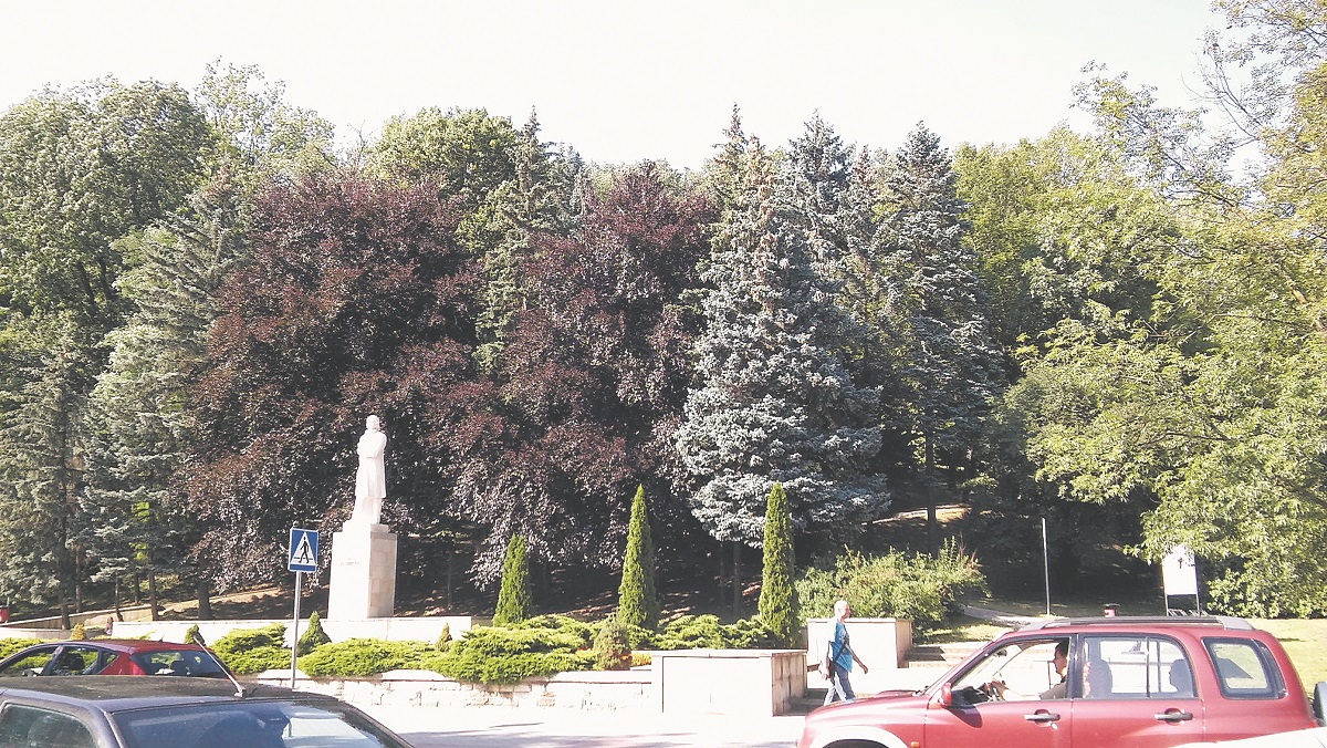 Park do poprawki - Zdjęcie główne