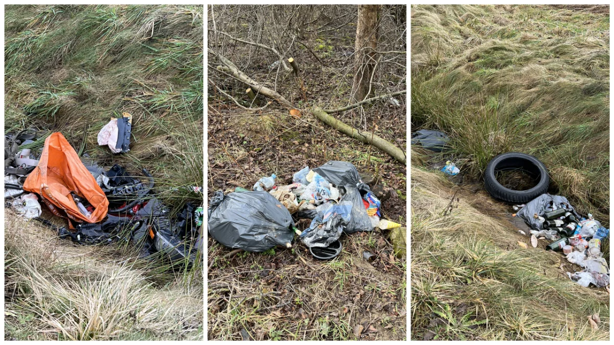 Dzikie wysypisko śmieci przy obwodnicy Sanoka [ZDJĘCIA] - Zdjęcie główne
