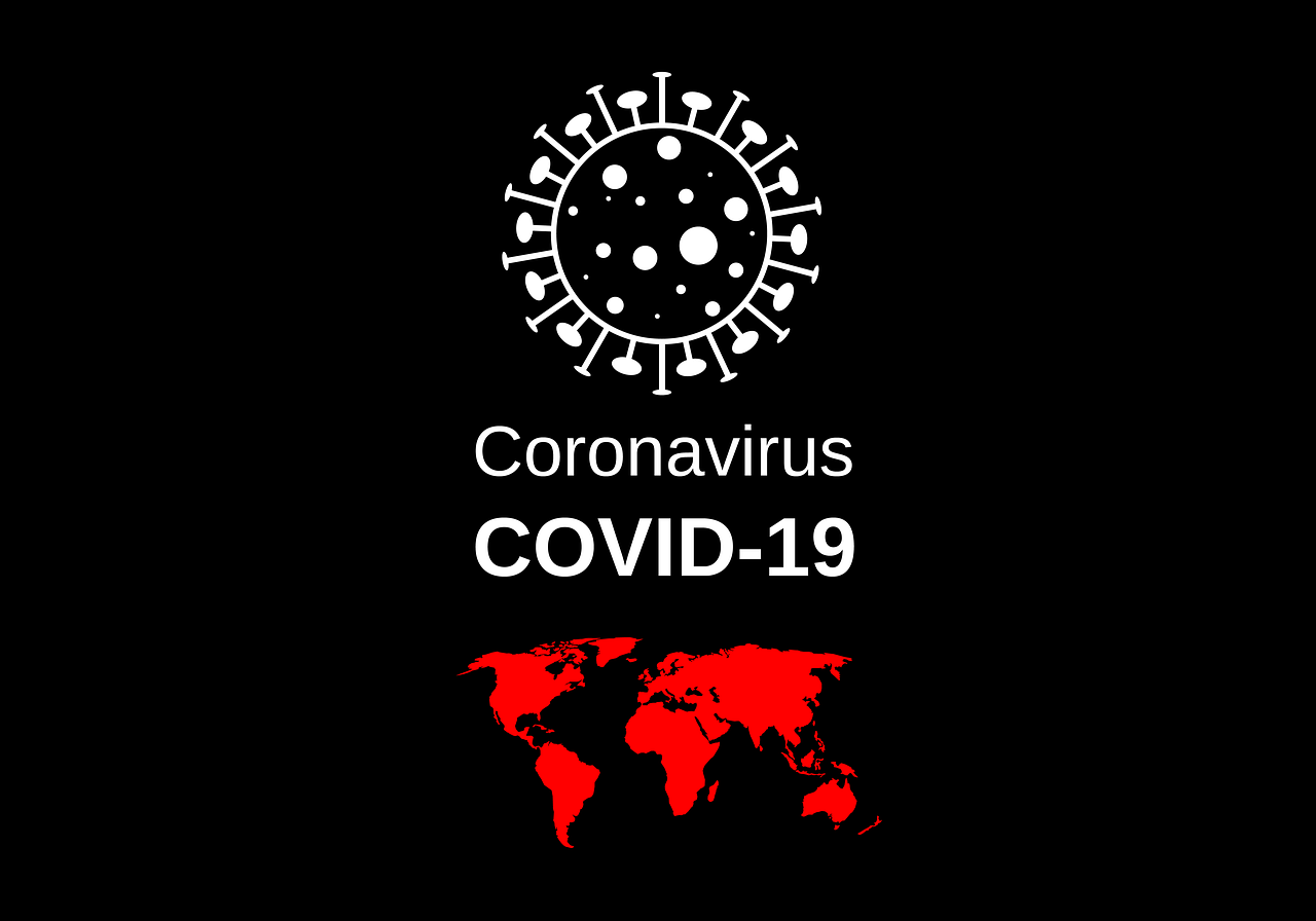 Polskim naukowcom udało się wyizolować koronawirusa z próbki pacjenta zero - Zdjęcie główne