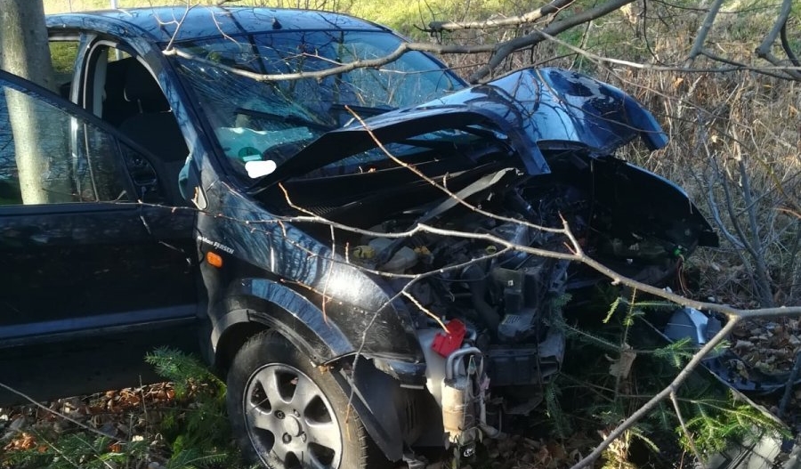 BRZOZOWIEC: Ford wjechał do rowu i uderzył w drzewo. 3-letnie dziecko w stanie ciężkim - Zdjęcie główne