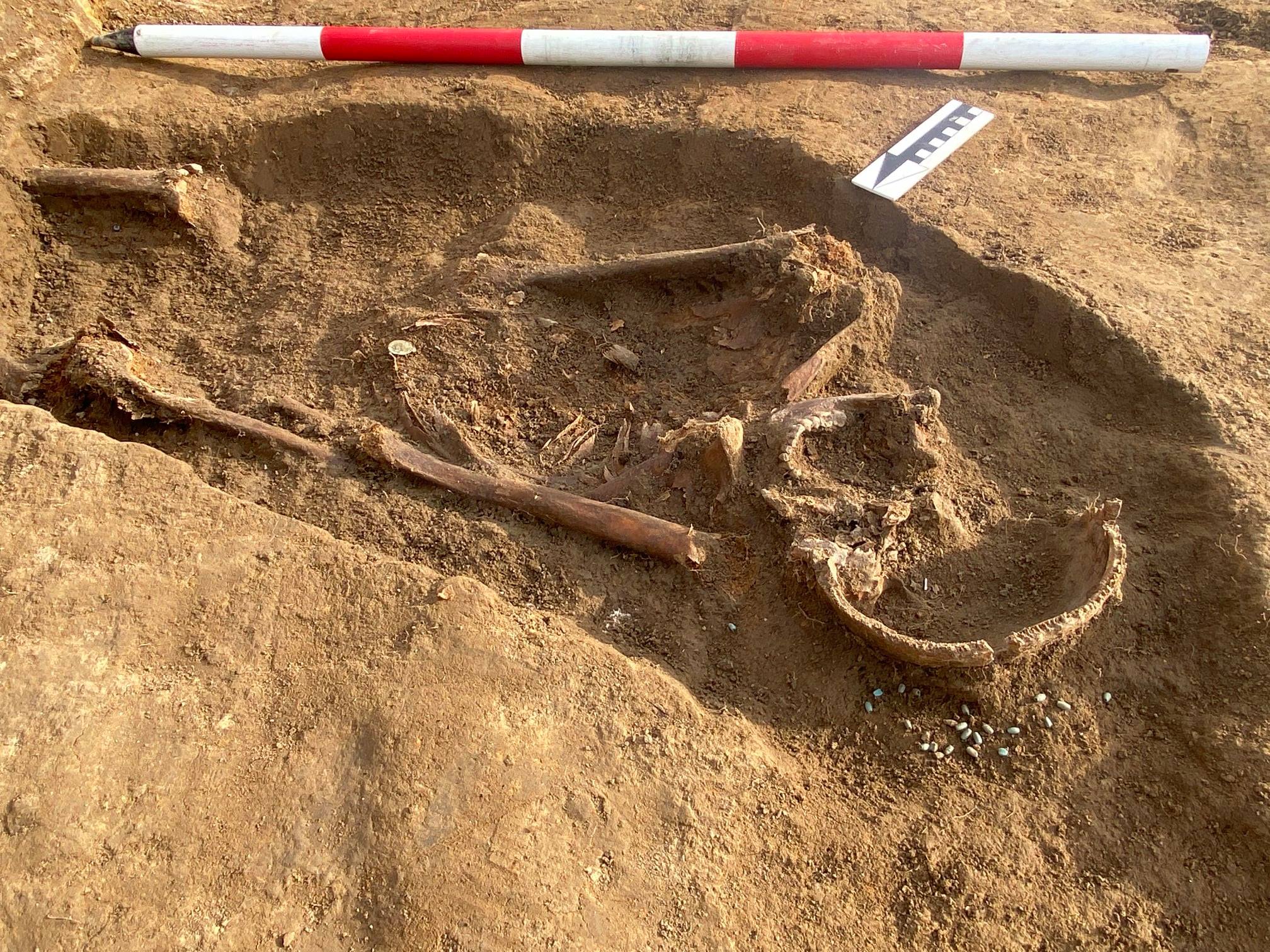 Szczątki 200 osób na wielkim cmentarzysku. Archeologiczne odkrycie na Podkarpaciu - Zdjęcie główne