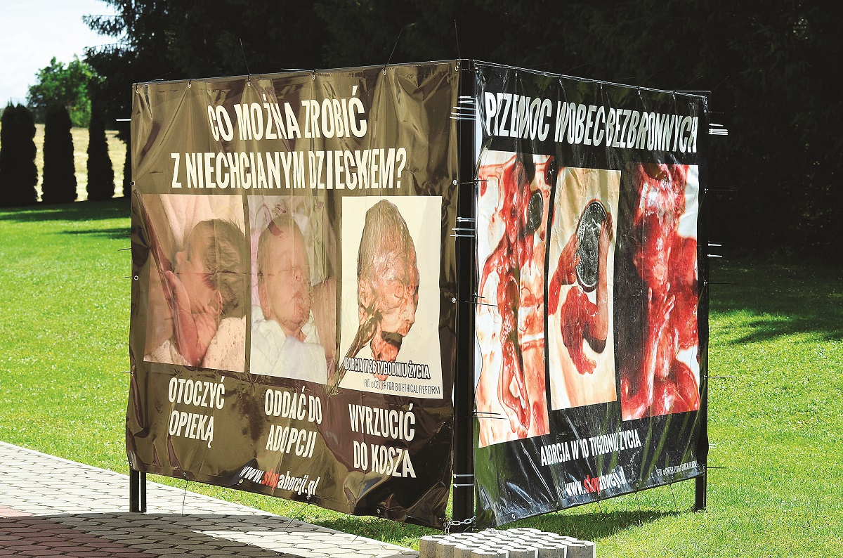 Straszy czy pomaga? - Zdjęcie główne