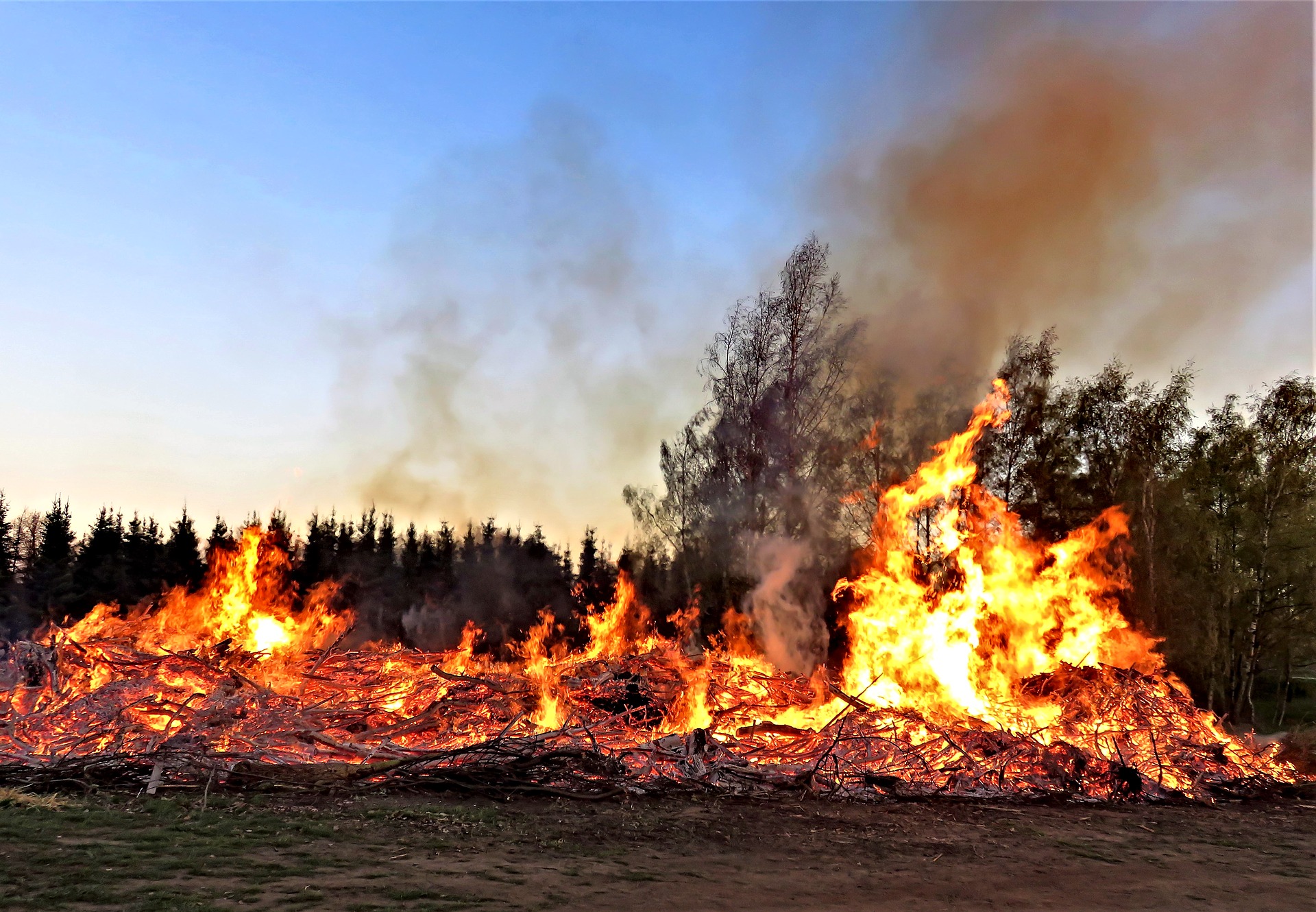 Płonął las w Bieszczadach. 10 zastępów Straży Pożarnej walczyło z żywiołem! [ZDJĘCIA] - Zdjęcie główne