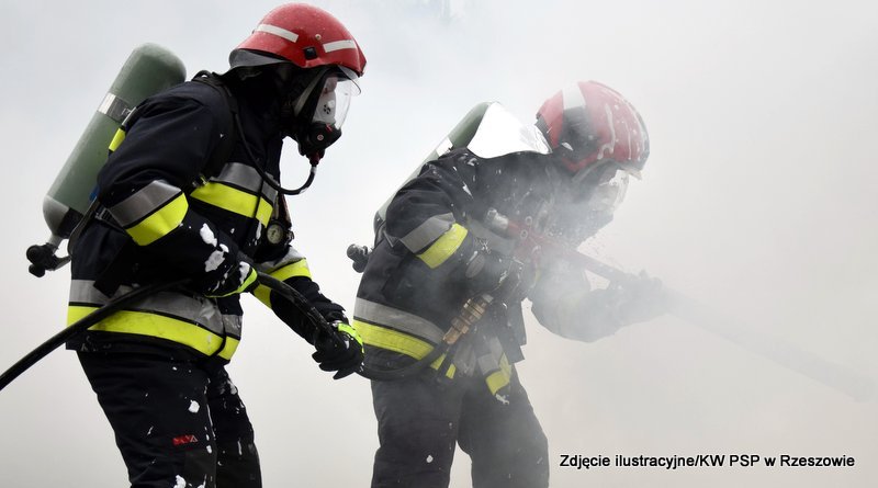 Z PODKARPACIA. 70-latek spłonął w pożarze domu - Zdjęcie główne