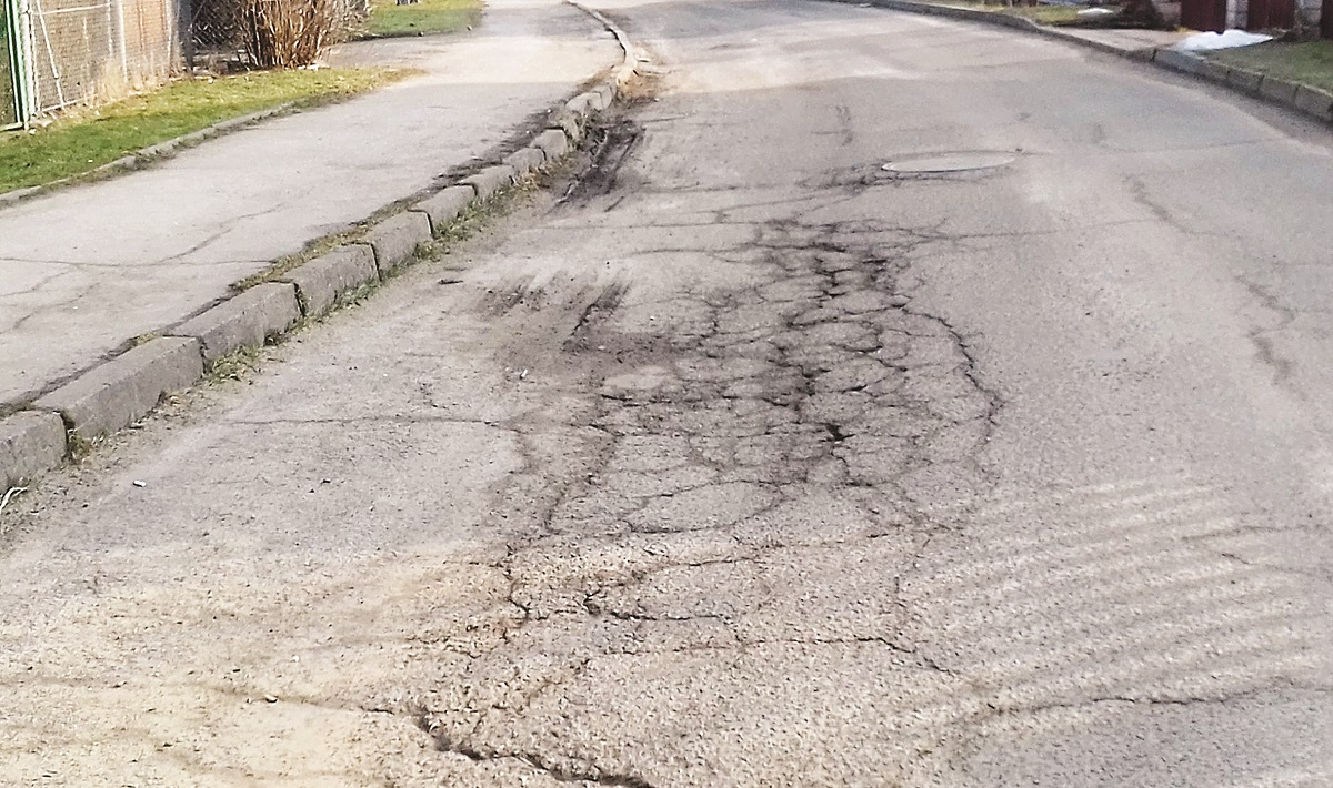 Nie Ogrodowa, a Problemowa - Zdjęcie główne
