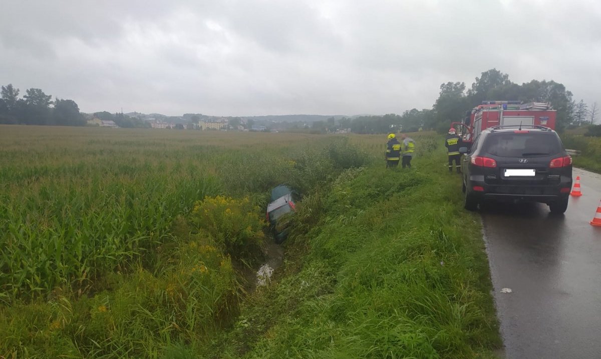 BRZOZÓW: Stracił panowanie nad pojazdem i wypadł z drogi  - Zdjęcie główne