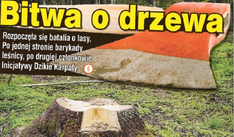 Bitwa o drzewa - Zdjęcie główne