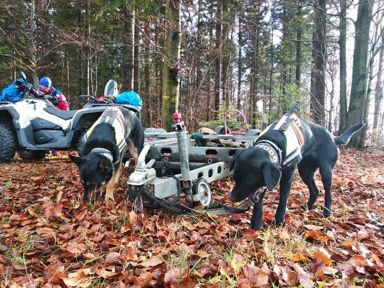 Z OSTATNIEJ CHWILI. Odnalazł się zaginiony 12-latek  - Zdjęcie główne