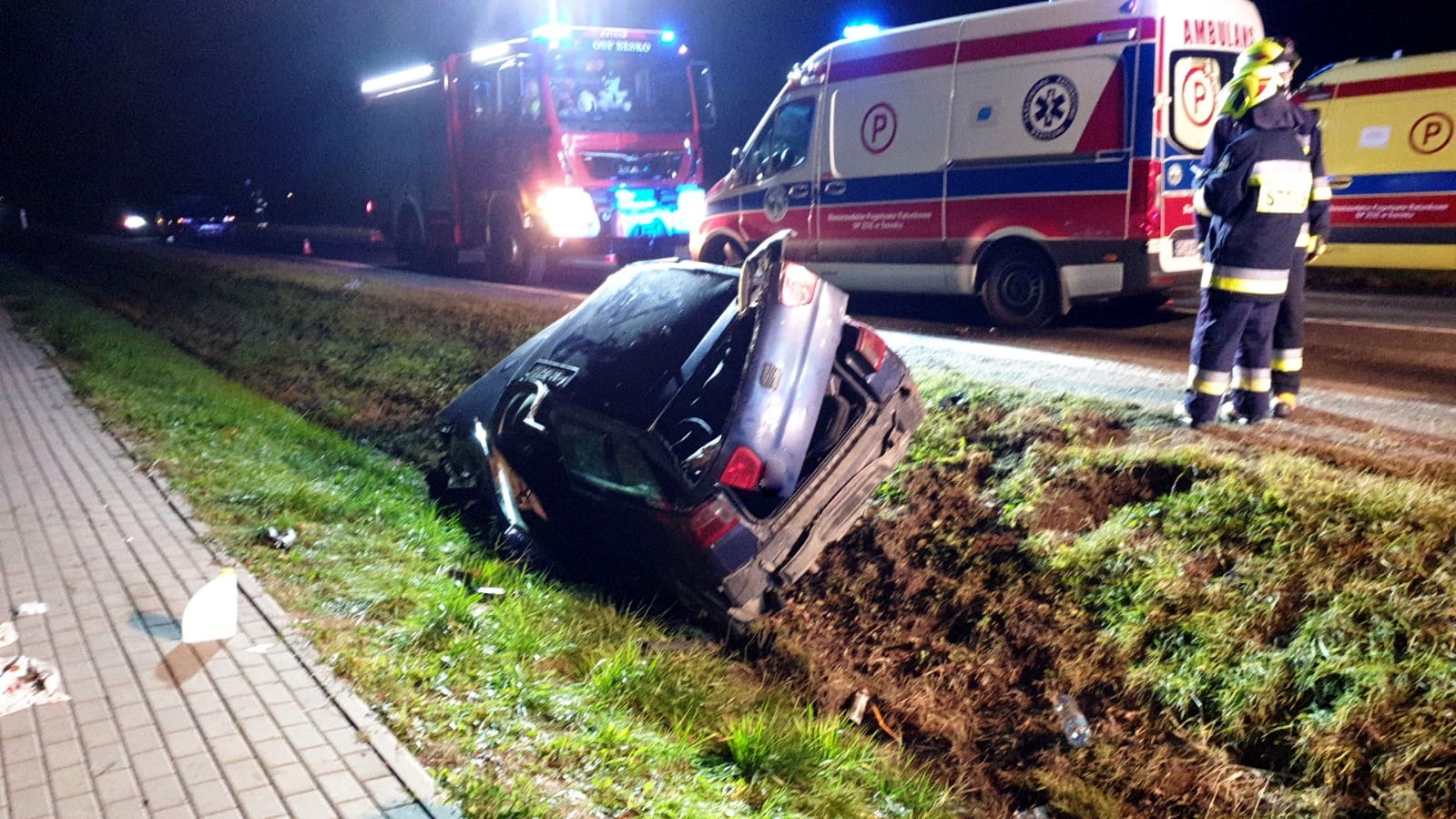 Zderzenie samochodu osobowego z dzikiem w Besku [ZDJĘCIA] - Zdjęcie główne
