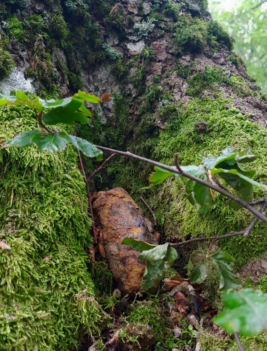 Bieszczady. Dzieci znalazły niewybuch przy szlaku  - Zdjęcie główne