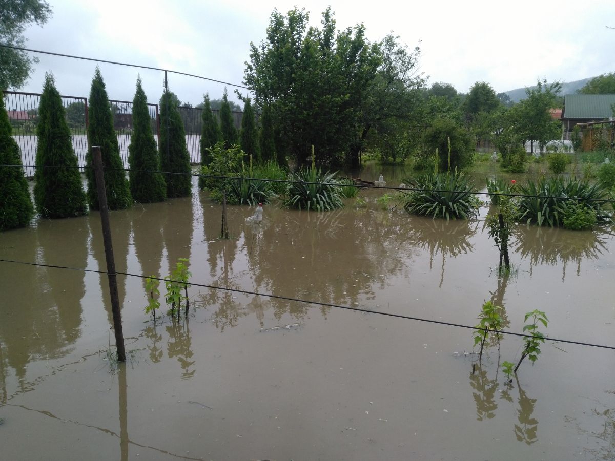 Sanok. Ogródki działkowe POD Sosenki pod wodą [FOTO+VIDEO] - Zdjęcie główne