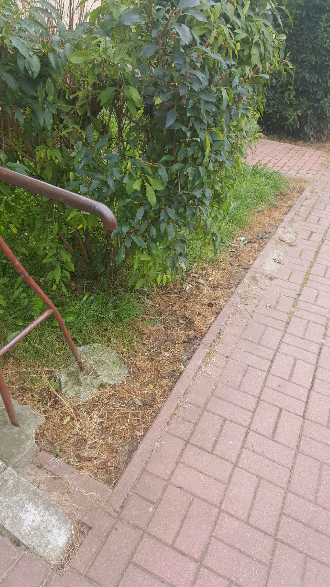 Czy nas trują? - Zdjęcie główne
