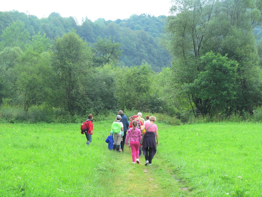 Rada Naukowo-Społeczna Leśnego Kompleksu Promocyjnego Lasy Bieszczadzkie debatowała nad udostępnieniem lasów turystom - Zdjęcie główne
