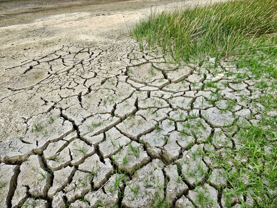 ALARM! Susza hydrologiczna na Podkarpaciu. Sytuacja jest wyjątkowo poważna! - Zdjęcie główne