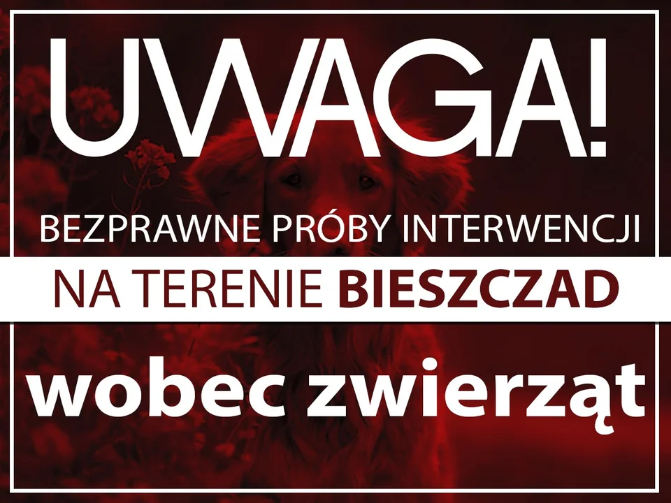 Uwaga Lesko i Bieszczady! Wchodzą na posesję i zabierają bezprawnie zwierzęta! - Zdjęcie główne