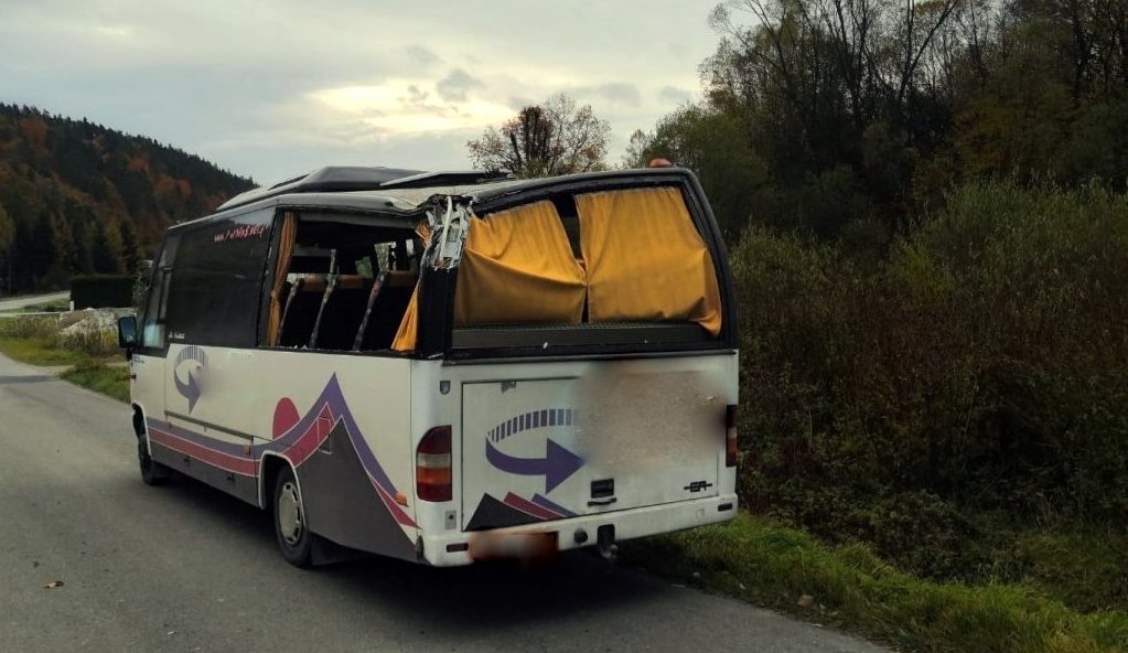 Złamany konar dębu spadł na jadącego busa i uszkodził linię energetyczną [ZDJĘCIA] - Zdjęcie główne