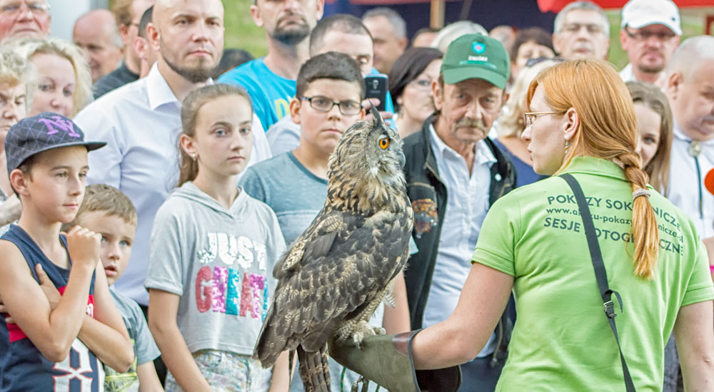 Z wabikiem wśród zwierząt - Zdjęcie główne