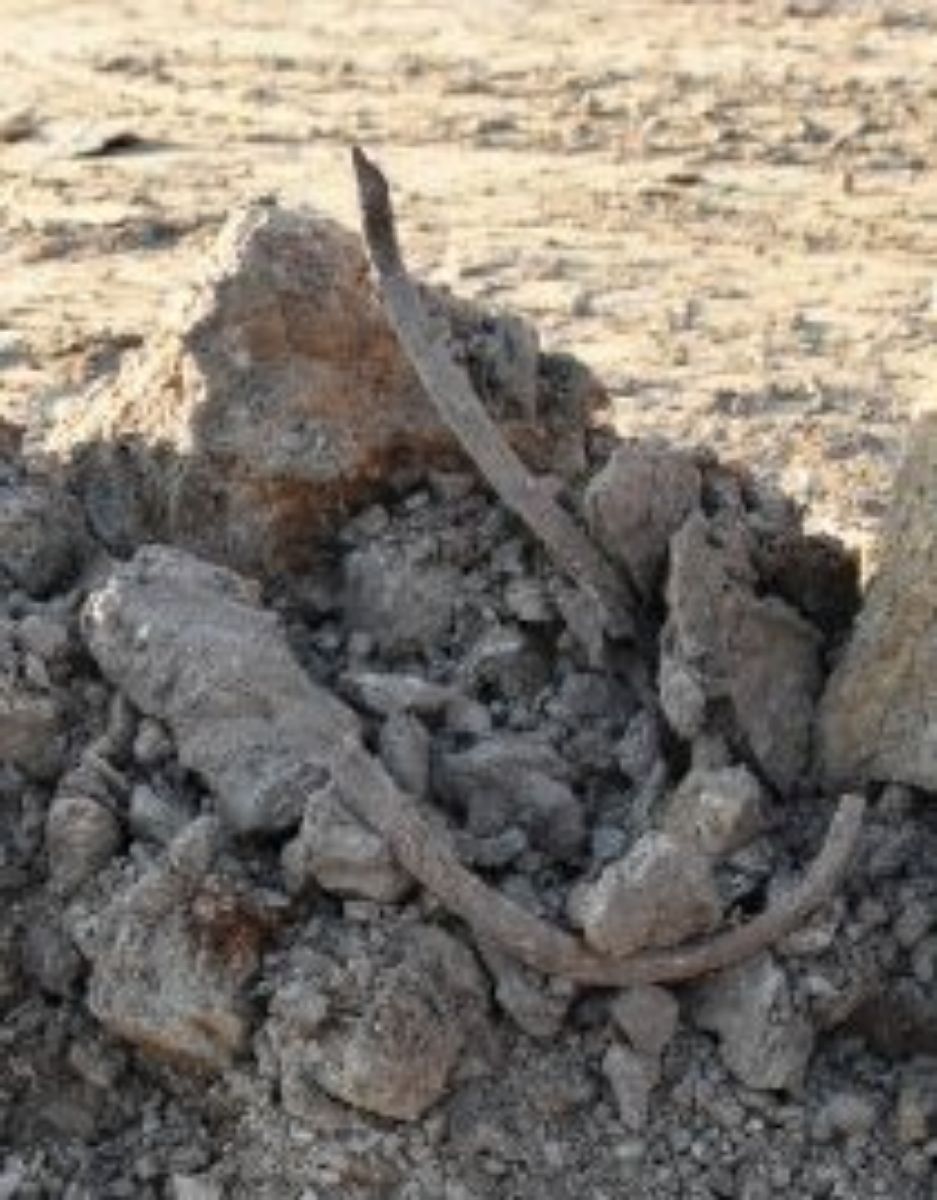 PODKARPACIE: Znaleziono szkielet wraz z nieśmiertelnikiem - Zdjęcie główne