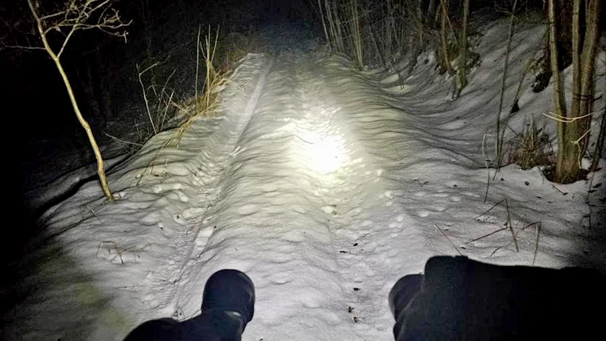 Powiedział, że się zabije i poszedł do lasu. Interweniowali policjanci z Brzozowa - Zdjęcie główne