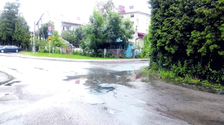 INTERWENCJA: Staw na środku ulicy - Zdjęcie główne