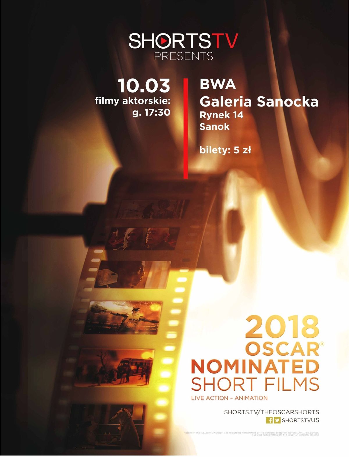 Pokazy filmowe kandydatów do Oscara w BWA - Zdjęcie główne