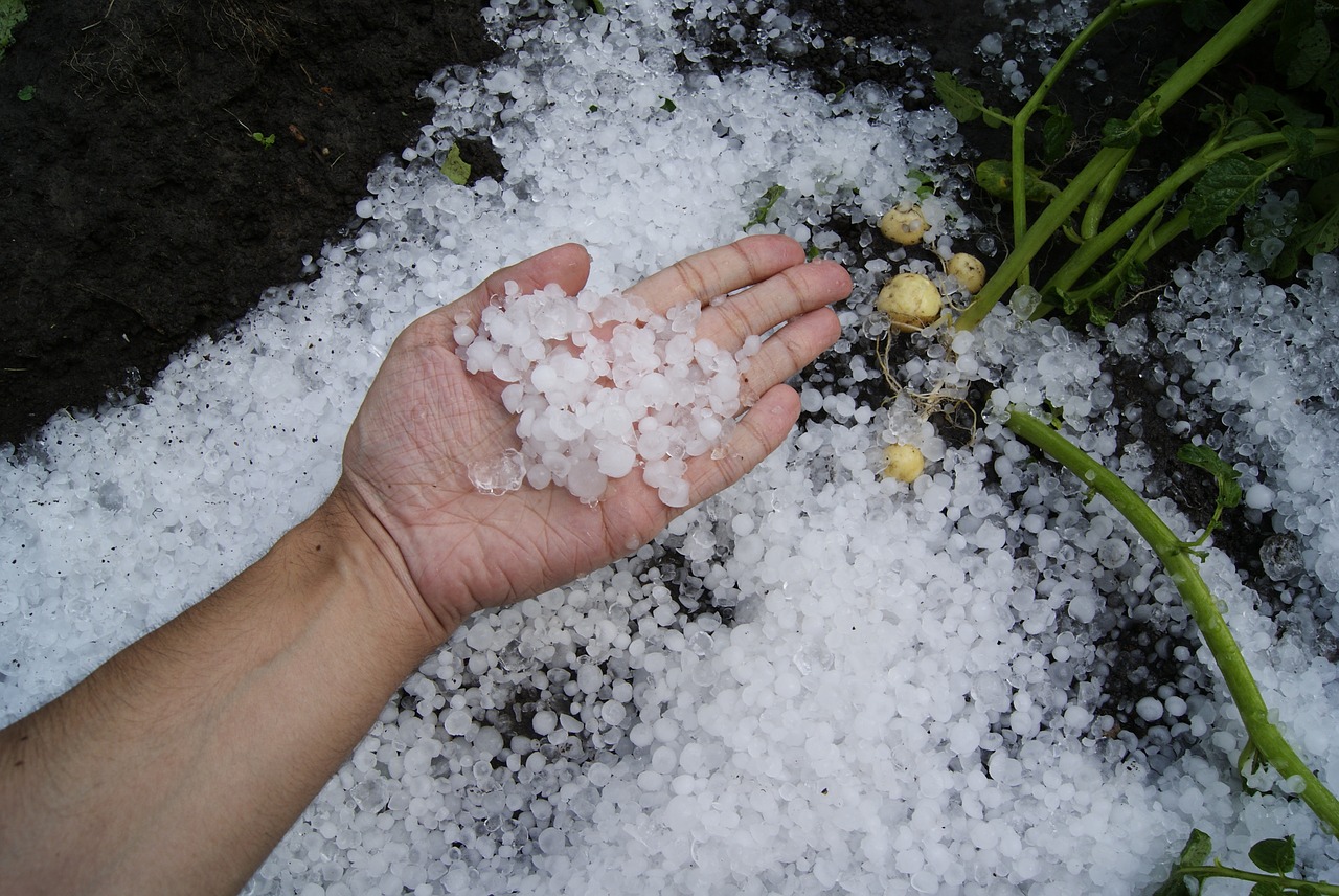Nawałnice powrócą? Dzisiaj burze z gradem na całym Podkarpaciu - Zdjęcie główne