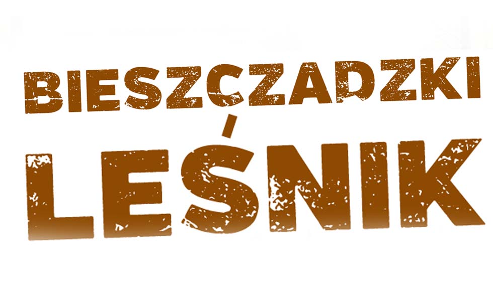 Pierwsza edycja plebiscytu "Bieszczadzki Leśnik" - Zdjęcie główne