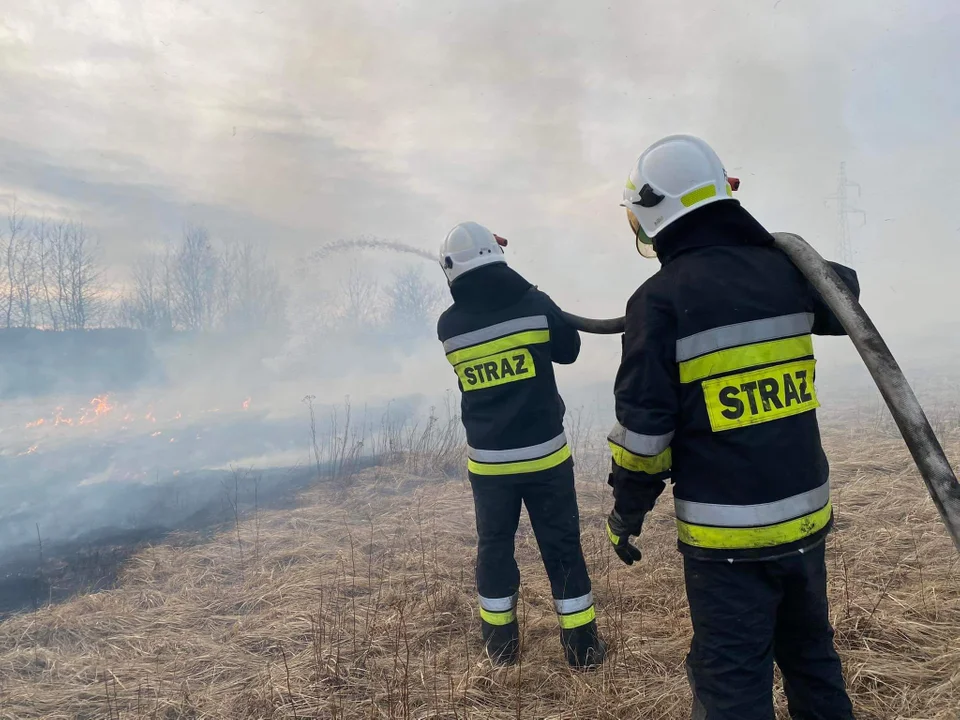 Wypalanie traw jest nielegalne! Społeczeństwo musi reagować zdecydowanie! [WIDEO] - Zdjęcie główne