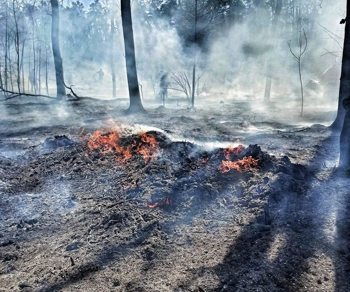 Kolejny pożar lasu na Podkarpaciu! [FOTO] - Zdjęcie główne