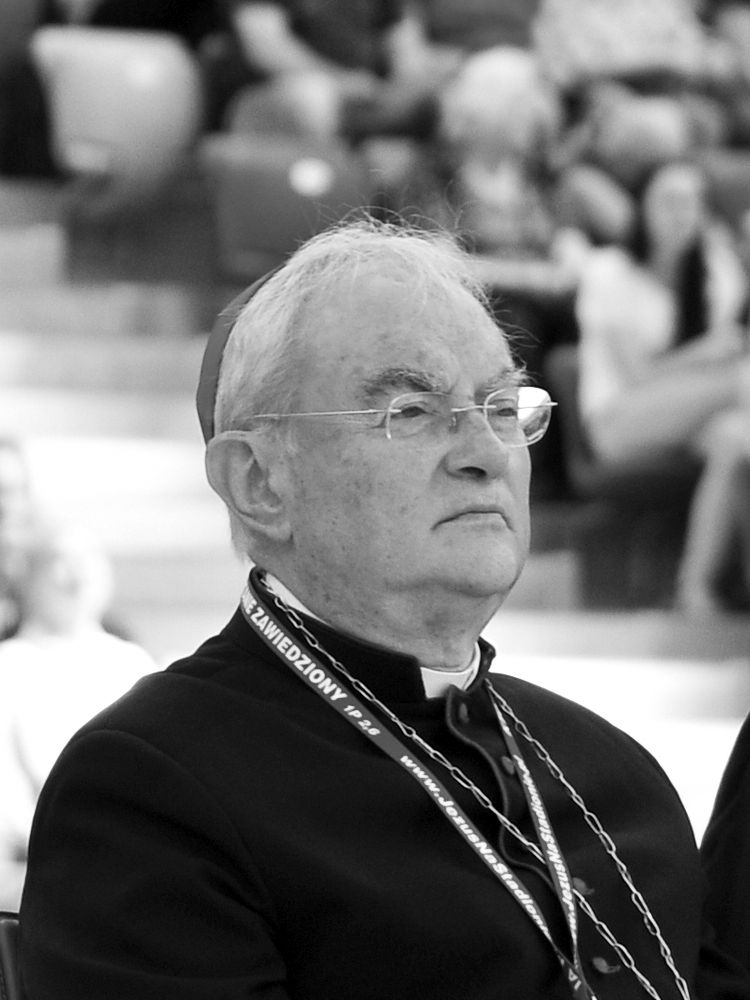 Henryk Franciszek Hoser (ur. 27 listopada 1942 w Warszawie, zm. 13 sierpnia 2021 tamże) – polski duchowny rzymskokatolicki, pallotyn, lekarz, misjonarz, wizytator apostolski w Rwandzie w latach 1994–1996, arcybiskup ad personam od 2005, sekretarz pomocniczy Kongregacji ds. Ewangelizacji Narodów i przewodniczący Papieskich Dzieł Misyjnych w latach 2005–2008, biskup diecezjalny warszawsko-praski w latach 2008–2017, od 2017 arcybiskup senior diecezji warszawsko-praskiej, wizytator apostolski w Medziugoriu w latach 2018–2021.