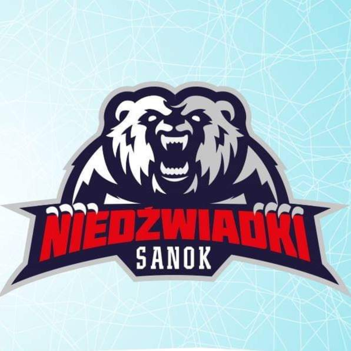 Liga Karpacka w kategorii U14 w najbliższy weekend w Nowym Targu. Zagrają "Niedźwiadki" - Zdjęcie główne
