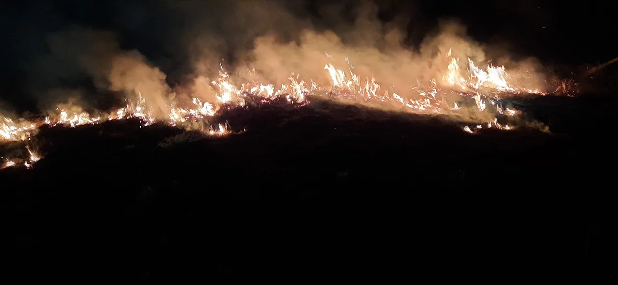 Plaga pożarów traw w Gminie Zarszyn. Strażacy codziennie jeżdżą na akcje [ZDJĘCIA] - Zdjęcie główne