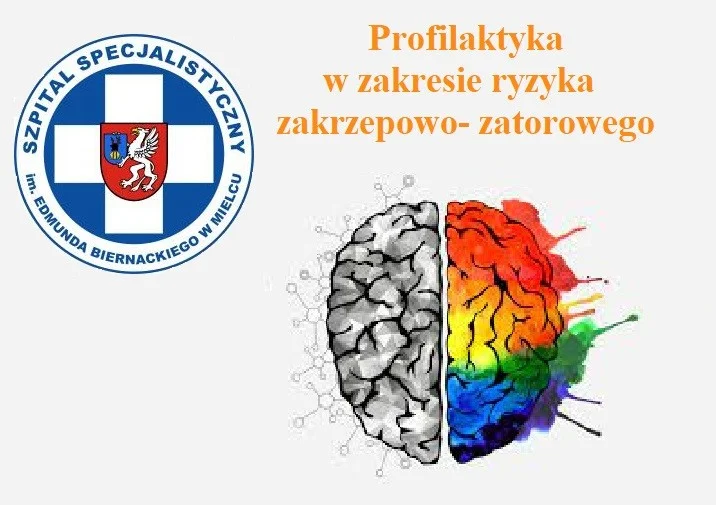 Światowy Dzień Udaru Mózgu: darmowa diagnostyka ryzyka zakrzepowo-zatorowego w mieleckim szpitalu [ZAPOWIEDŹ] - Zdjęcie główne