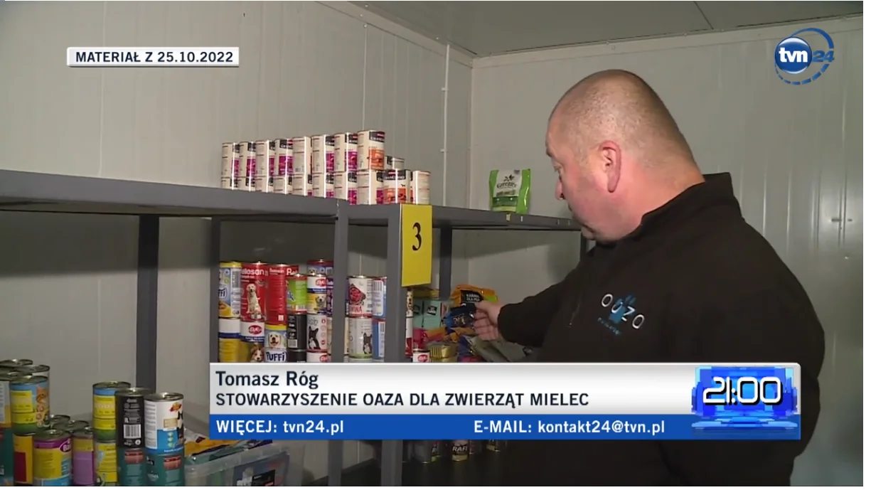 Mieleckie Stowarzyszenie Oaza w materiale TVN: "Spada liczba adopcji psów, niektórych nie stać na karmę" - Zdjęcie główne