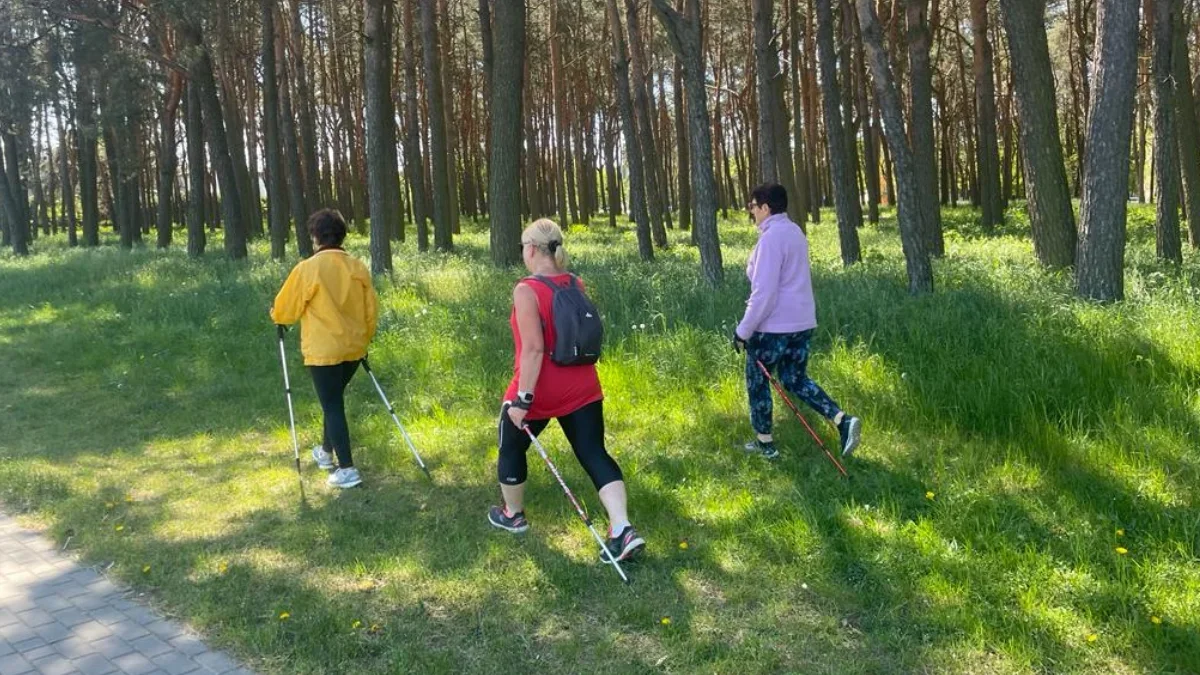 MOSiR zaprasza na bezpłatne treningi Nordic Walking! - Zdjęcie główne