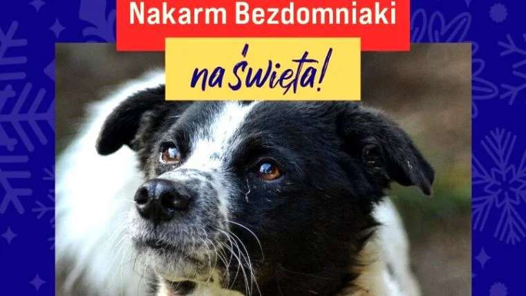 Wystartowała 8. edycja zbiórki "Gwiazdka dla bezdomniaka": pomożecie nam sprawić, aby tegoroczne Święta były wyjątkowe również dla Bezdomniaków? - Zdjęcie główne